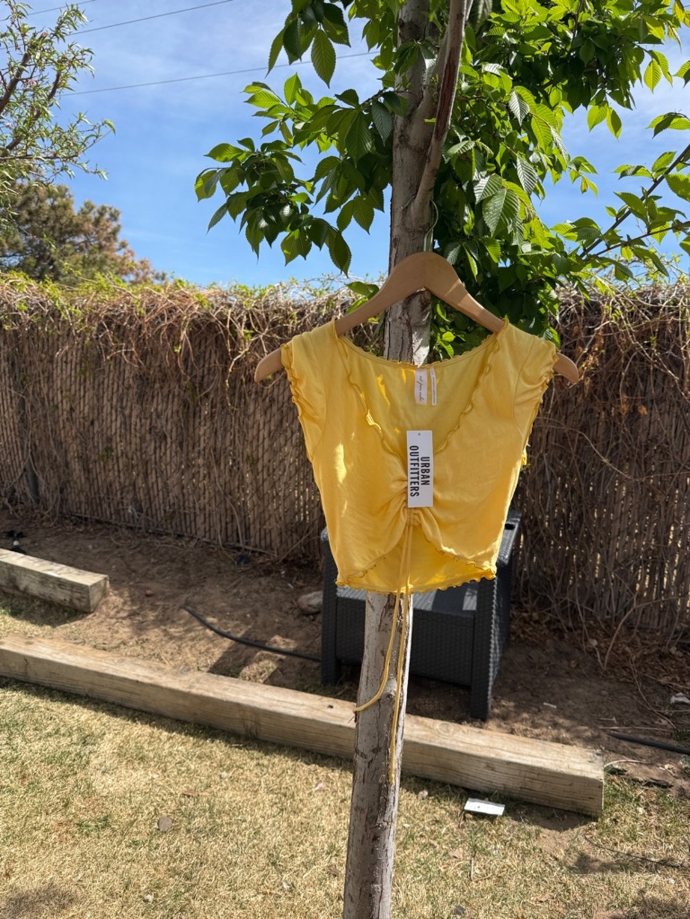 Urban Outfitters Yellow Tie-Front Ruffle Crop Top